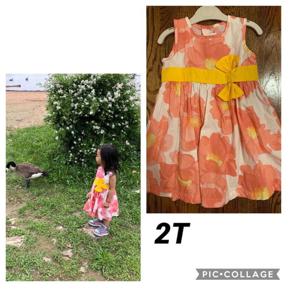 Janie and Jack Floral Dress 2T